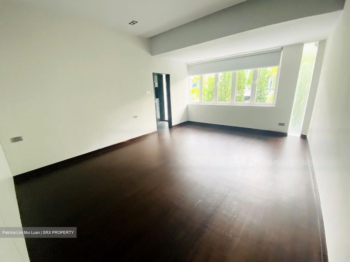 Frankel Estate (D15), Detached #465006021